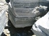 a kőzet (granodiorit-gneisz)