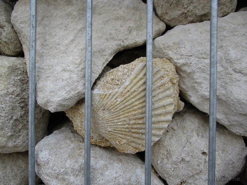 fertorakos_kofejto_02