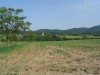 Mogyoróska