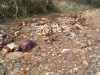 Csendélet a Meleg-májon