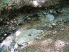 Középkori malomkövek a patakban
