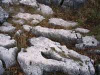 Eperjes Tanösvény fotó az Eperjes Tanösvényről