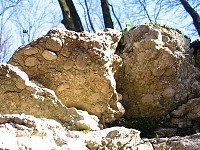 Nummuliteszes kő fotó nummuliteszes kőről