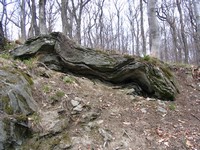 Kalapos-kövek fotó a Kalapos-kövekről