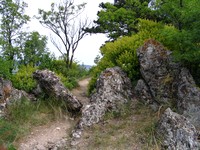 fotó: Tihany, Nyereg-hegy